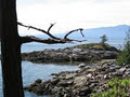 Longhouse Bay Getaway image 4