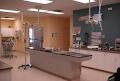 Loyalist Veterinary Hospital image 6