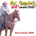 M.C. Quantock Livestock "Canada's Bulls" Bull Sale - SALE DAY LOCATION image 4