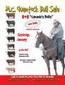M.C. Quantock Livestock "Canada's Bulls" Bull Sale - SALE DAY LOCATION image 5