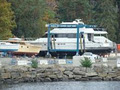 Maple Bay Marina image 3