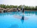 Marineland image 4