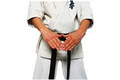 Martial Arts aXis image 4