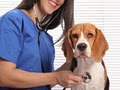 Martindale Animal Clinic image 4