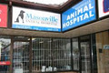 Masonville Animal Hospital logo