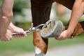 McKee-Pownall Equine Services Newmarket image 2