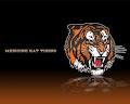 Medicine Hat Tigers Hockey Club image 6