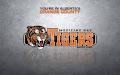 Medicine Hat Tigers Hockey Club logo