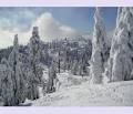 Mount Seymour image 2
