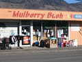 Mulberry Bush image 2