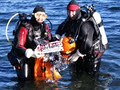 Nanaimo Dive Outfitters - Diving Classes logo