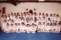 Nanaimo Tae Kwon Do Club logo