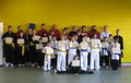 Niagara Kung Fu Academy image 1