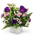 Nicol Florist Limited image 1