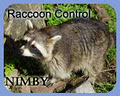 Nimby Pest Management image 2