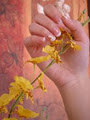 Ongles Art Rosier Nails image 2