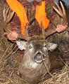 Ontario Deer Hunting on the Aulneau Peninsula logo