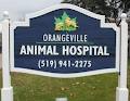 Orangeville Animal Hospital image 2