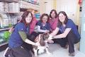 Orangeville Animal Hospital image 6