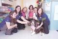 Orangeville Animal Hospital image 1