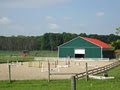 Orr Lake Equestrian image 2