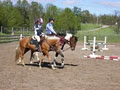 Orr Lake Equestrian image 5