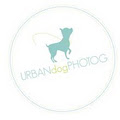 Ottawa Ontario pet photographer logo