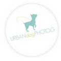 Ottawa Ontario pet photographer image 1