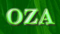 Oza Storage Inc logo