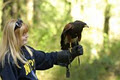 Pacific Northwest Raptors image 3