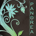 Panorea Skin & Spa logo