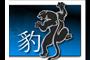 Panther Management Group - Edmonton Jujutsu logo