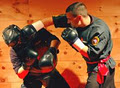 Patenaude Vaudreuil Martial Arts image 1