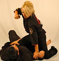 Patenaude's Ottawa Martial Arts logo