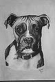 Petloversportraits image 1