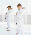 Phoenix Taekwondo Academy image 4