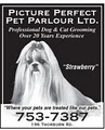 Picture Perfect Pet Parlour Ltd. logo