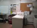 Port Colborne Animal Clinic image 5