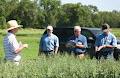 Prairie Oat Growers Association image 3