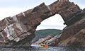 Rising Tide Expeditions - Sea Kayaking Adventures Along Cape Breton's Coasts logo