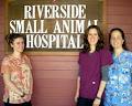 Riverside Small Animal Hospital image 4