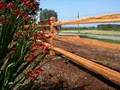 Rocky Mountain Landscaping image 3