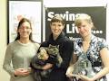 SPCA Provincial Animal Shelter image 3