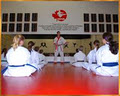Safeguard Martial Arts image 2