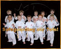 Safeguard Martial Arts image 4
