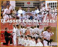 Safeguard Martial Arts image 1