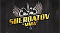 Sherbatov MMA, Mixed Martial Arts, Muay Thai, BJJ, Boxe, Wrestling image 1