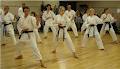 Shikomu Karate Club image 4