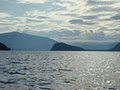 Shuswap Lake Provincial Park image 2