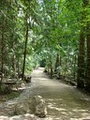 Shuswap Lake Provincial Park image 1